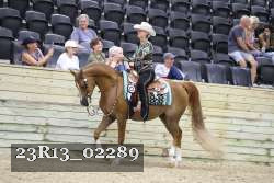 23R13_02289 thumbnail