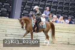 23R13_02290 thumbnail