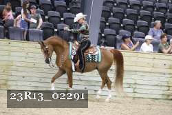 23R13_02291 thumbnail