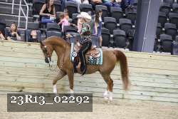 23R13_02292 thumbnail