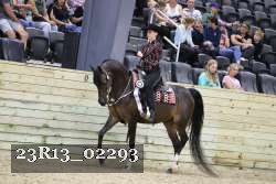23R13_02293 thumbnail