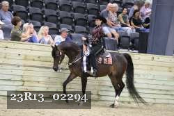 23R13_02294 thumbnail