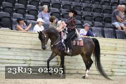 23R13_02295 thumbnail