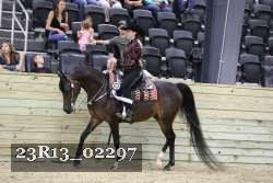 23R13_02297 thumbnail