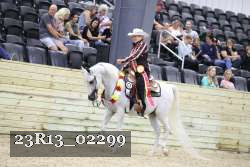 23R13_02299 thumbnail