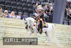 23R13_02300 thumbnail