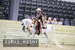 23R13_02301 thumbnail