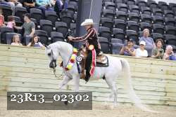 23R13_02302 thumbnail