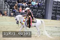 23R13_02303 thumbnail