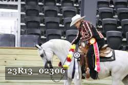 23R13_02306 thumbnail