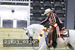 23R13_02307 thumbnail