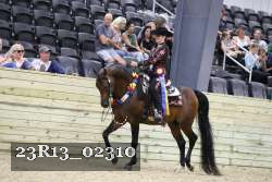 23R13_02310 thumbnail