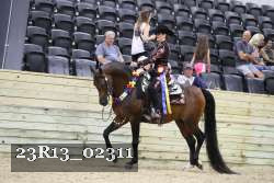 23R13_02311 thumbnail