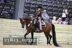 23R13_02312 thumbnail