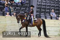 23R13_02313 thumbnail
