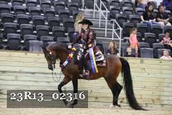 23R13_02316 thumbnail