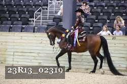 23R13_02319 thumbnail