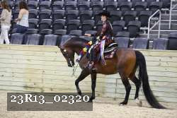 23R13_02320 thumbnail