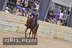 23R13_02322 thumbnail