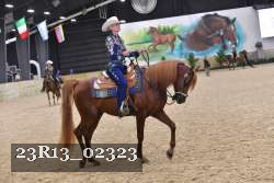 23R13_02323 thumbnail