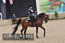 23R13_02325 thumbnail