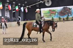 23R13_02326 thumbnail