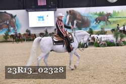 23R13_02328 thumbnail