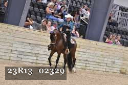 23R13_02329 thumbnail