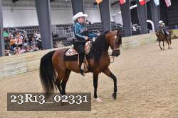 23R13_02331 thumbnail