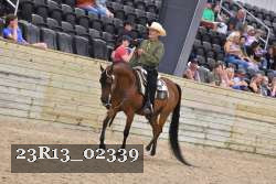 23R13_02339 thumbnail