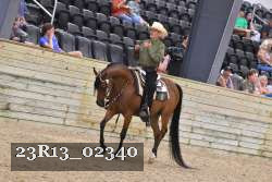 23R13_02340 thumbnail