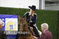 23R13_02401 thumbnail