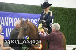 23R13_02403 thumbnail