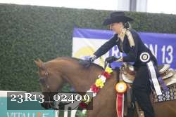 23R13_02409 thumbnail