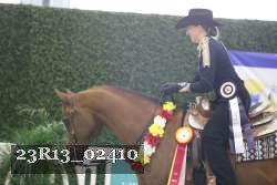 23R13_02410 thumbnail