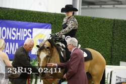 23R13_02411 thumbnail