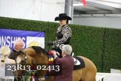 23R13_02413 thumbnail