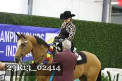 23R13_02414 thumbnail