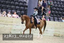 23R13_02419 thumbnail