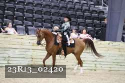 23R13_02420 thumbnail