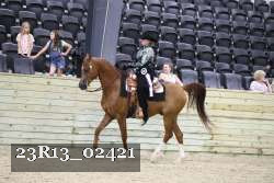 23R13_02421 thumbnail