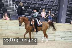 23R13_02423 thumbnail