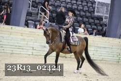 23R13_02424 thumbnail