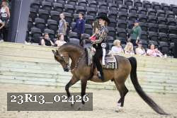 23R13_02426 thumbnail