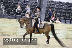23R13_02427 thumbnail