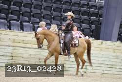 23R13_02428 thumbnail