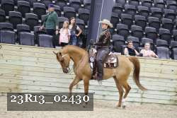 23R13_02430 thumbnail