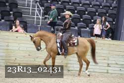 23R13_02431 thumbnail