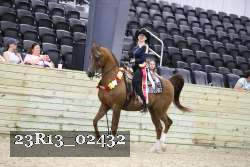 23R13_02432 thumbnail
