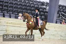 23R13_02433 thumbnail